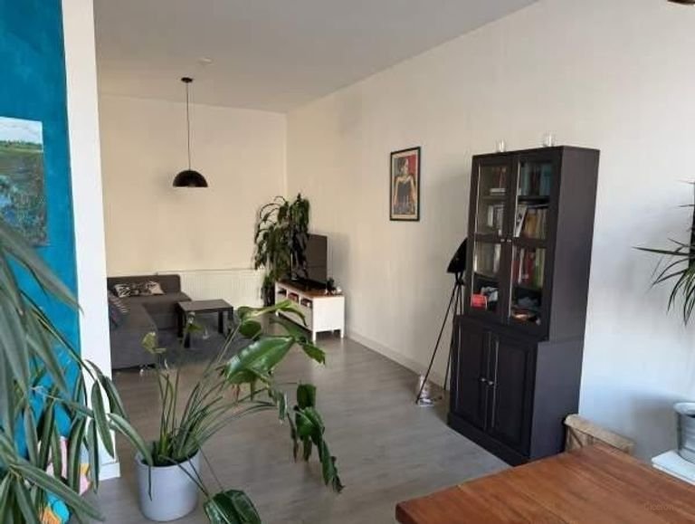 Modern appartement in Oude Westen met twee balkons - Afbeelding 2