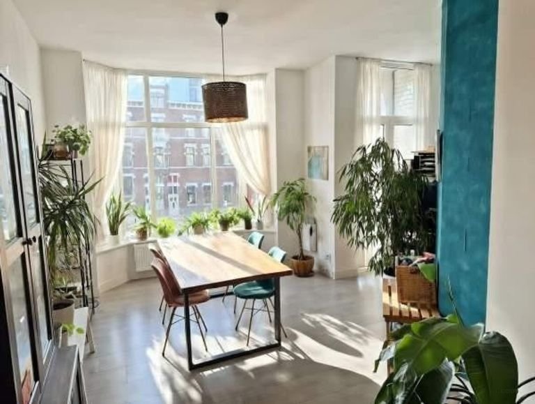 Modern appartement in Oude Westen met twee balkons - Afbeelding 5