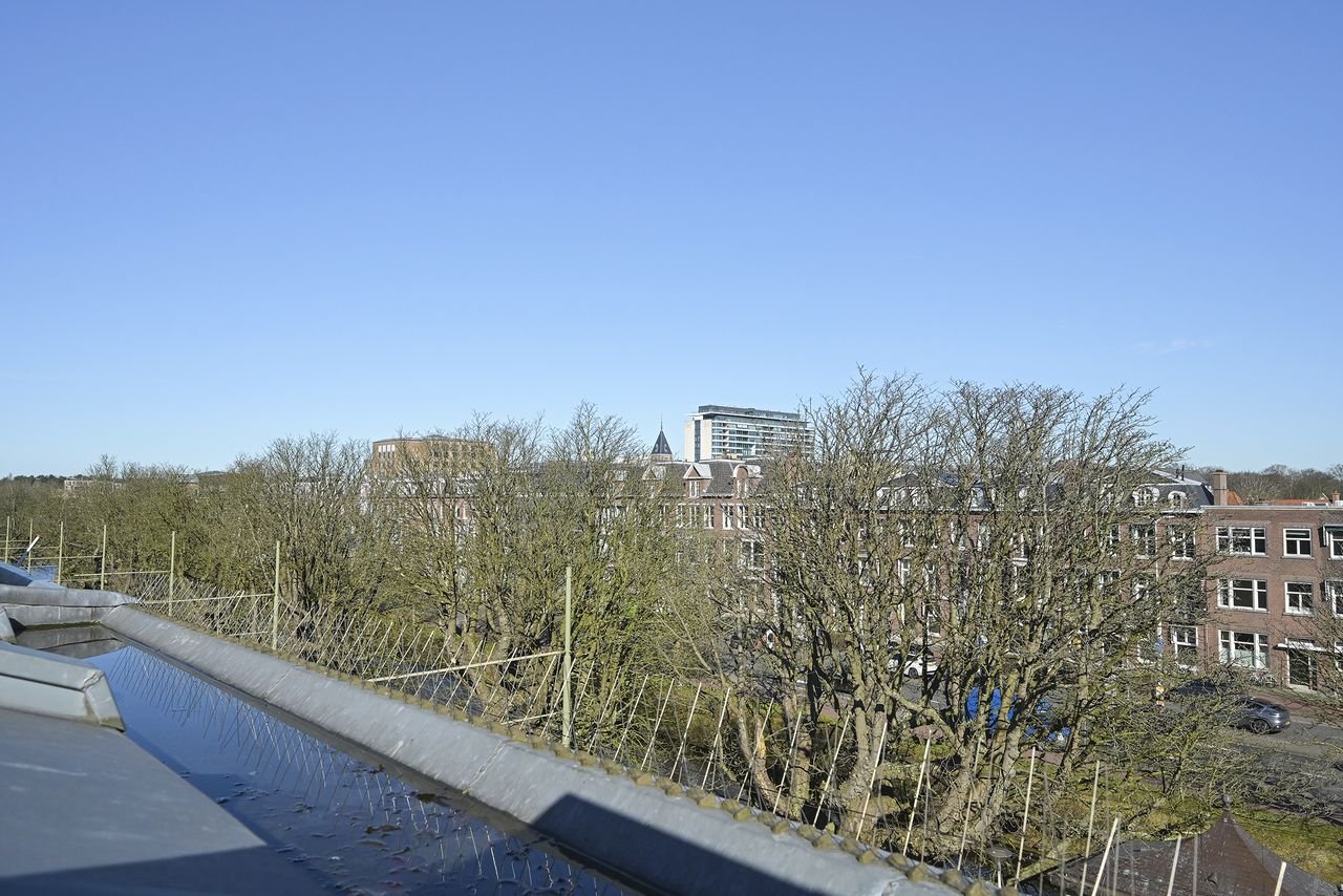 Monumentale topetage aan de gracht - Afbeelding 21