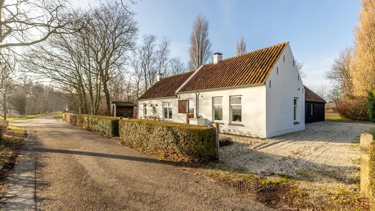 Detached living between forest and dunes - Image 27