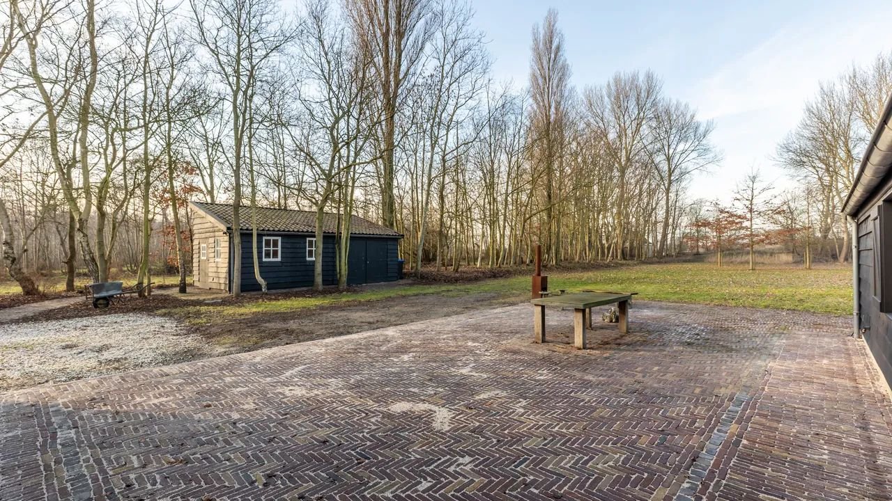 Detached living between forest and dunes - Image 21