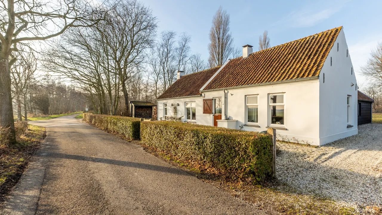 Detached living between forest and dunes - Image 24