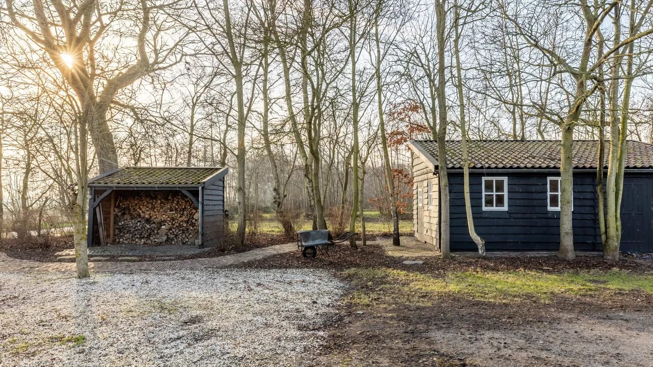 Detached living between forest and dunes - Image 22