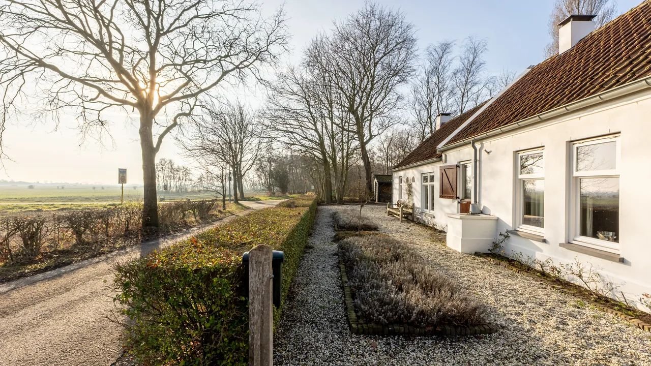 Detached living between forest and dunes - Image 26