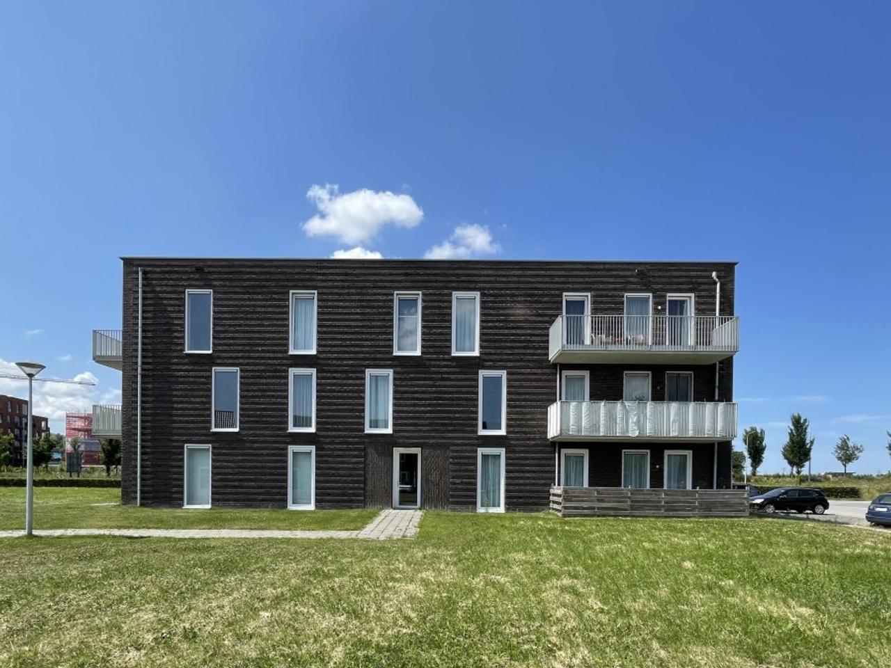 Terras en vloerverwarming in Techum - Afbeelding 2