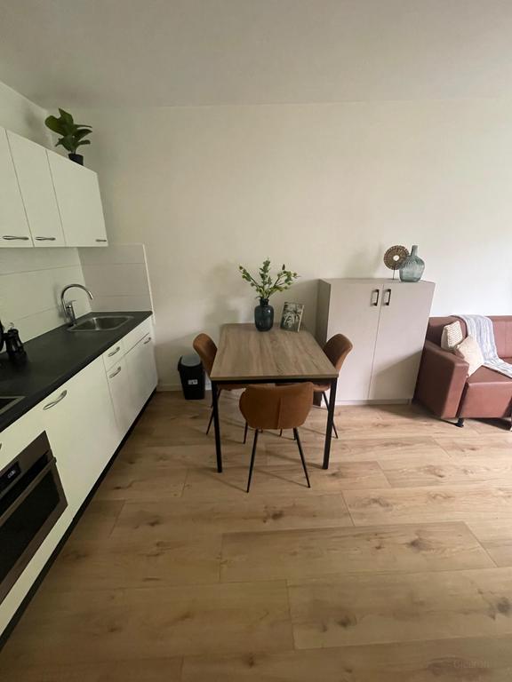 Gerenoveerd 2-kamerappartement in Nieuwe Westen - Afbeelding 4