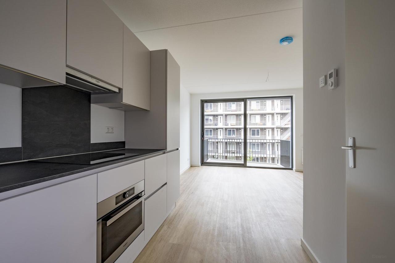 Zuidwestbalkon vlak bij station Amersfoort - Afbeelding 8