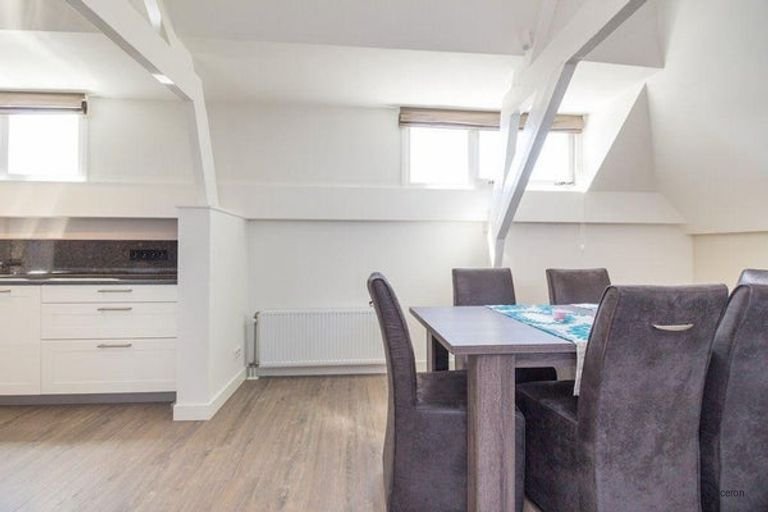 Gerenoveerd topappartement aan de Denneweg - Afbeelding 8