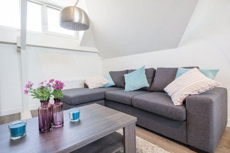 Gerenoveerd topappartement aan de Denneweg - Afbeelding 6