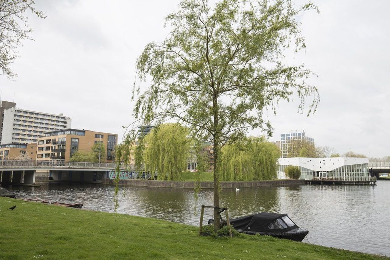 Royaal appartement met 4 slaapkamers in Zuid - Afbeelding 38