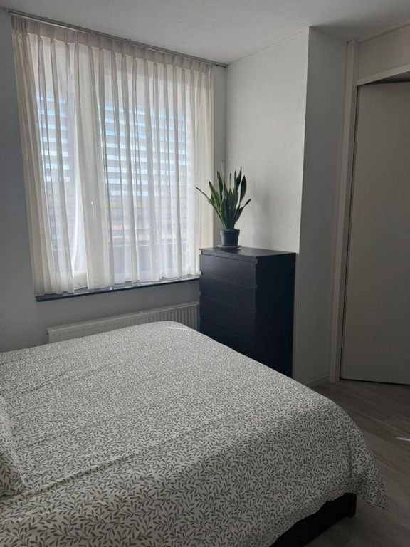 Move-in ready living on the Ringbaan-Noord - Image 13