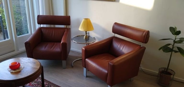 Tijdelijke benedenwoning met tuin in Bohemen - Afbeelding 7