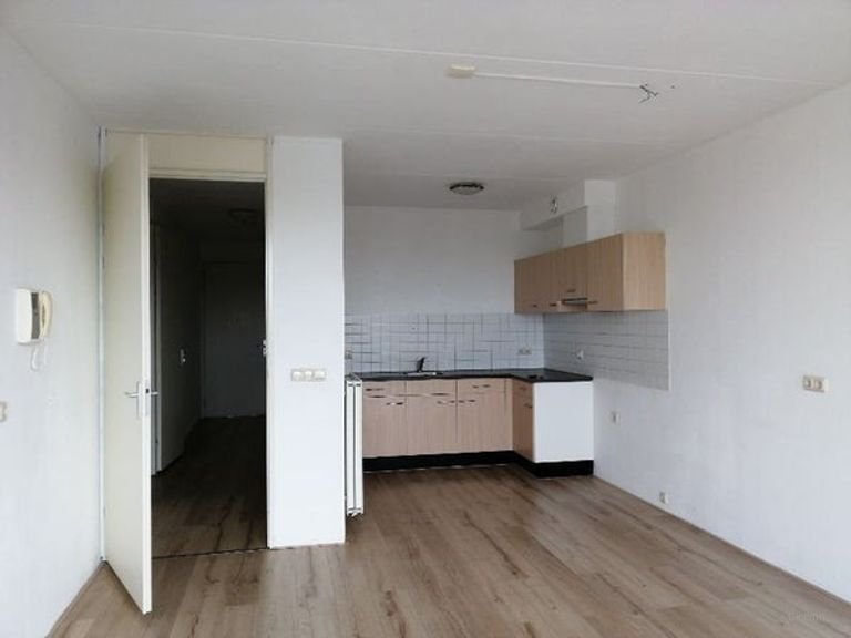 Bright apartment with winter garden - Image 9