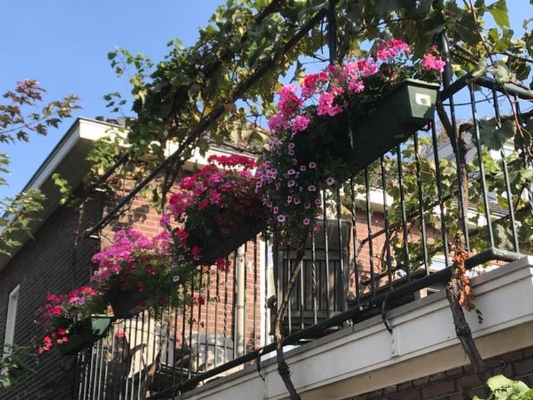 Bright 1930s Corner House in Armhoef - Image 51