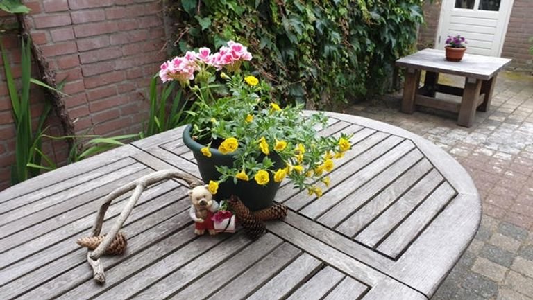 Bright 1930s Corner House in Armhoef - Image 44