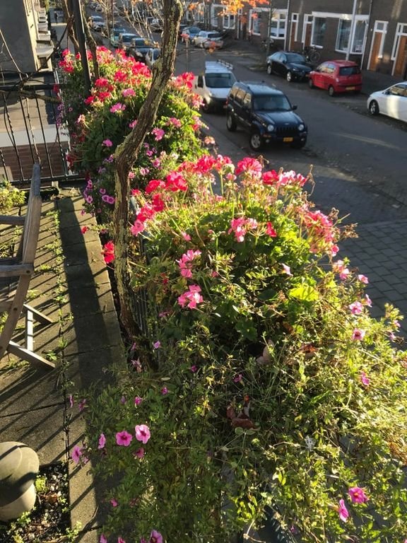 Bright 1930s Corner House in Armhoef - Image 50