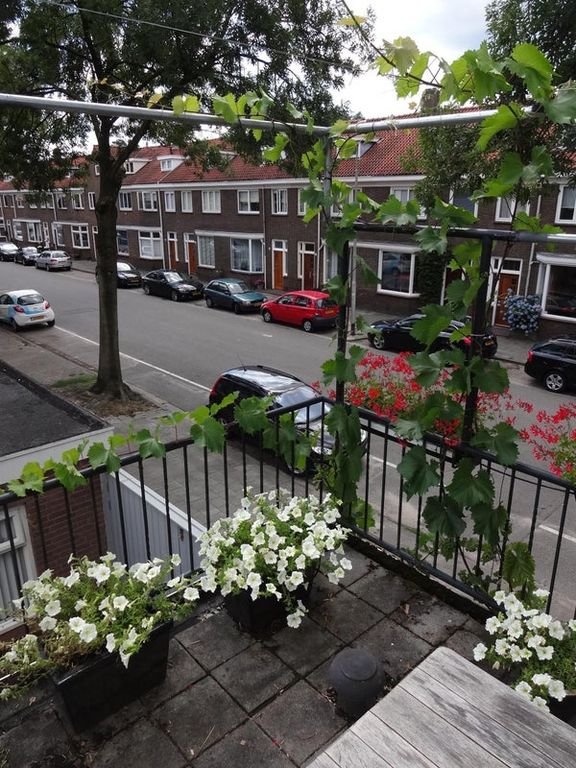 Bright 1930s Corner House in Armhoef - Image 49