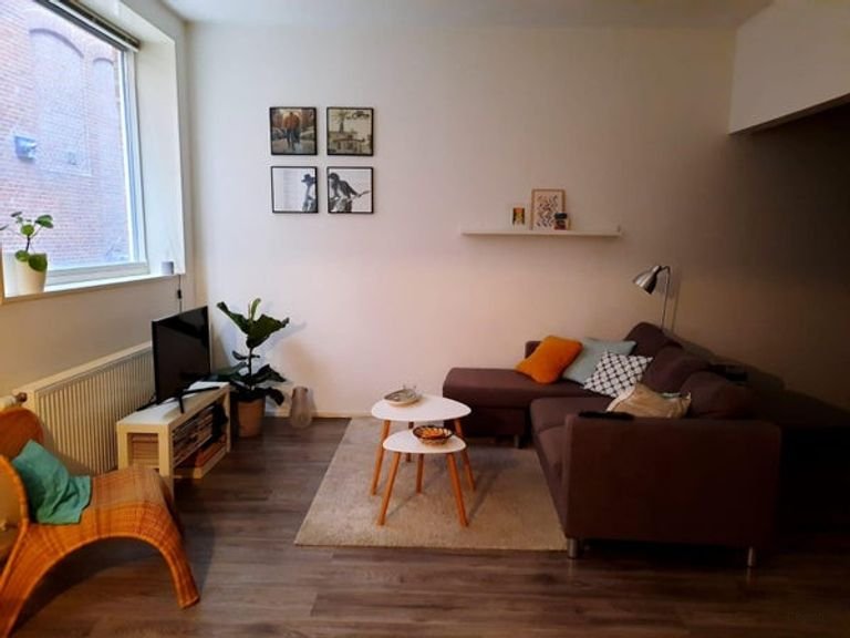 Luxury studio with A-label in the city center - Image 5