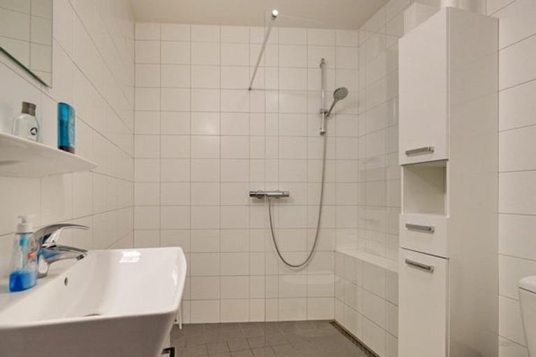 Apartment with roof terrace in Banholt - Image 5