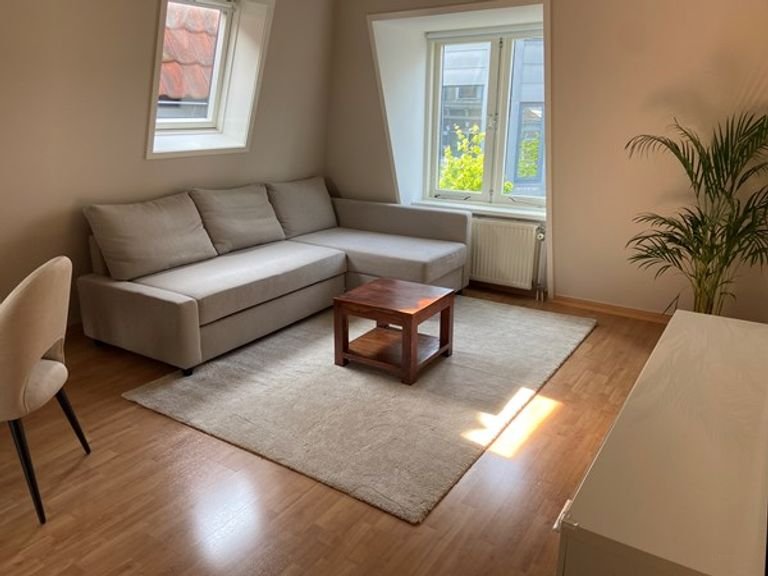 Gemeubileerd wonen in centrum Den Haag - Afbeelding 1