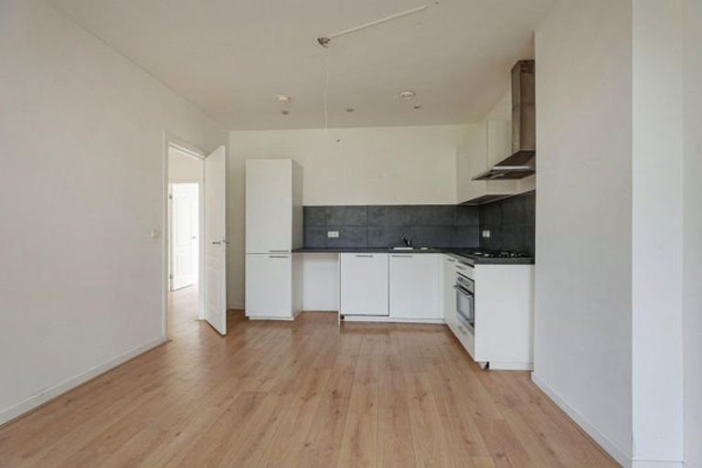 Renovated apartment for 3 sharers in the Rivierenbuurt - Image 3
