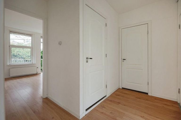 Renovated apartment for 3 sharers in the Rivierenbuurt - Image 8