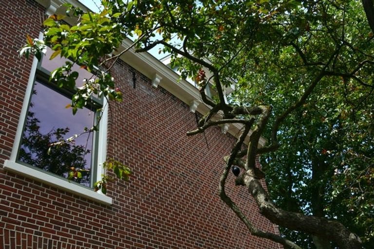 Gemeubileerde studio in Leiden Noordvest - Afbeelding 17