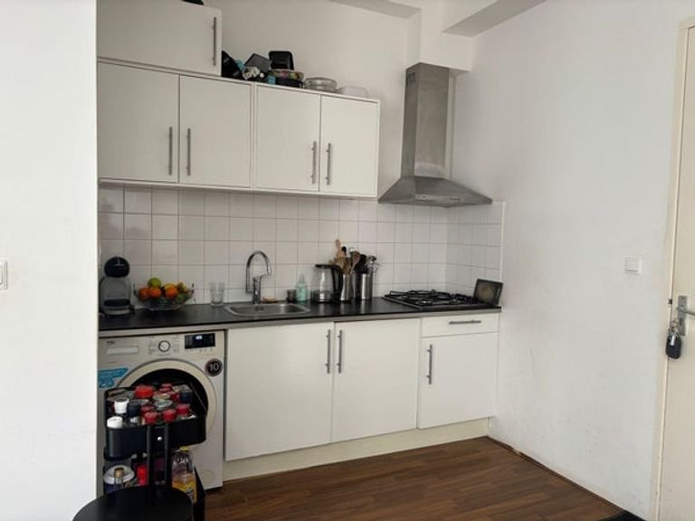 Duurzaam appartement in de Hortusbuurt - Afbeelding 8