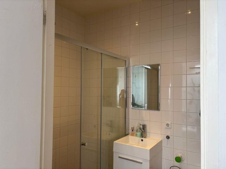 Duurzaam appartement in de Hortusbuurt - Afbeelding 5