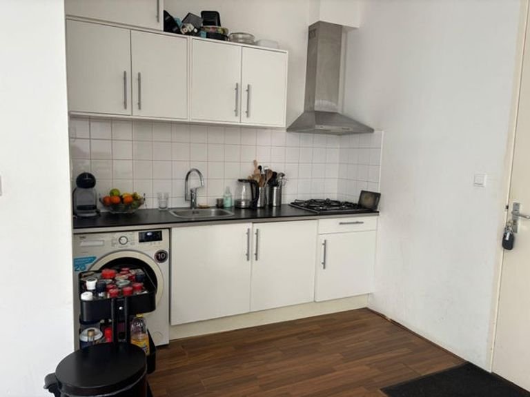 Duurzaam appartement in de Hortusbuurt - Afbeelding 9