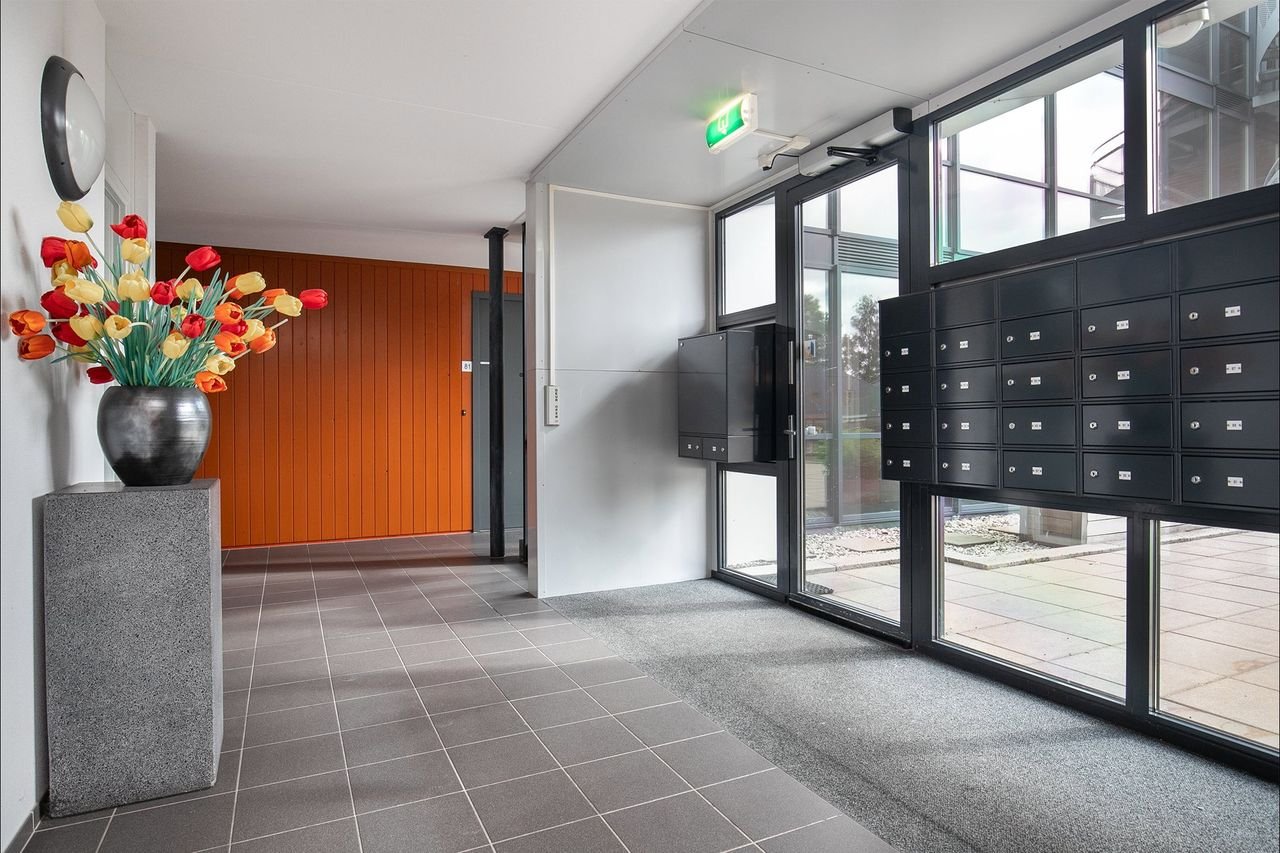 Energiezuinig 4-kamerappartement met dakterras - Afbeelding 7