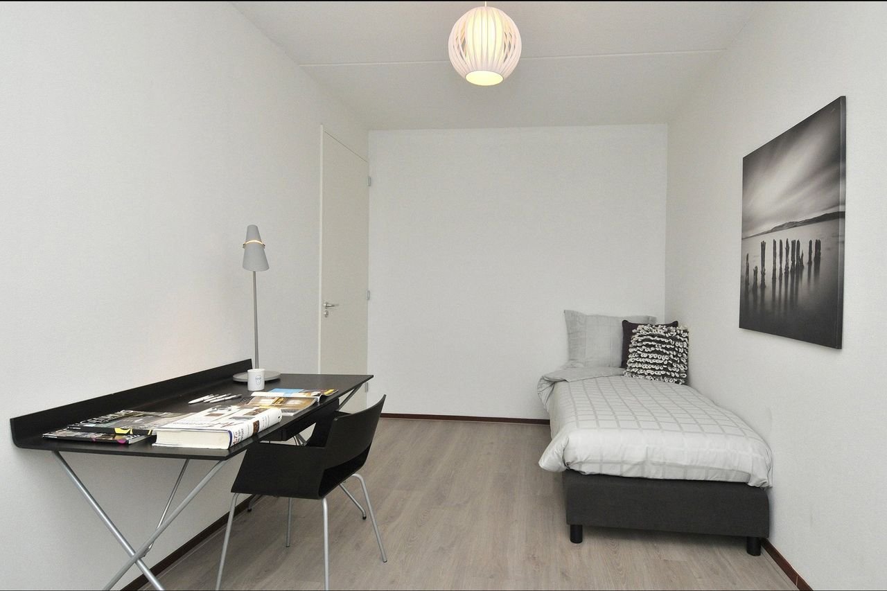 Energy-efficient 4-room apartment in Wageningen - Image 7