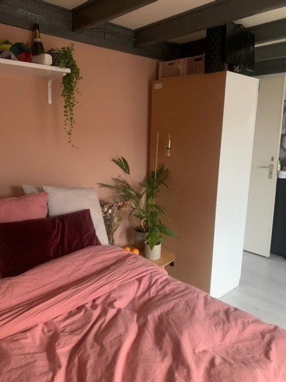 Room with Garden in Oud-Assendorp - Image 3