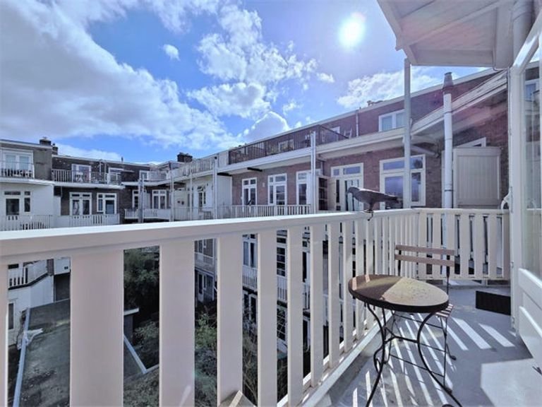 Furnished apartment (120m²) with roof terrace in the Rivierenbuurt - Image 10