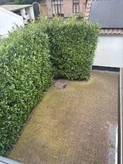 Energiezuinig vrijstaand huis in Villapark - Afbeelding 20