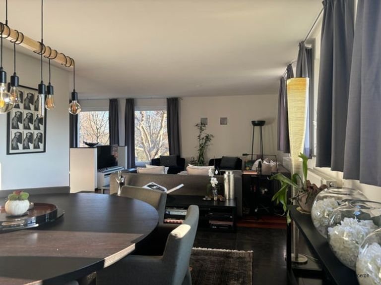 Villa van 310m2 aan de Maas - Afbeelding 19