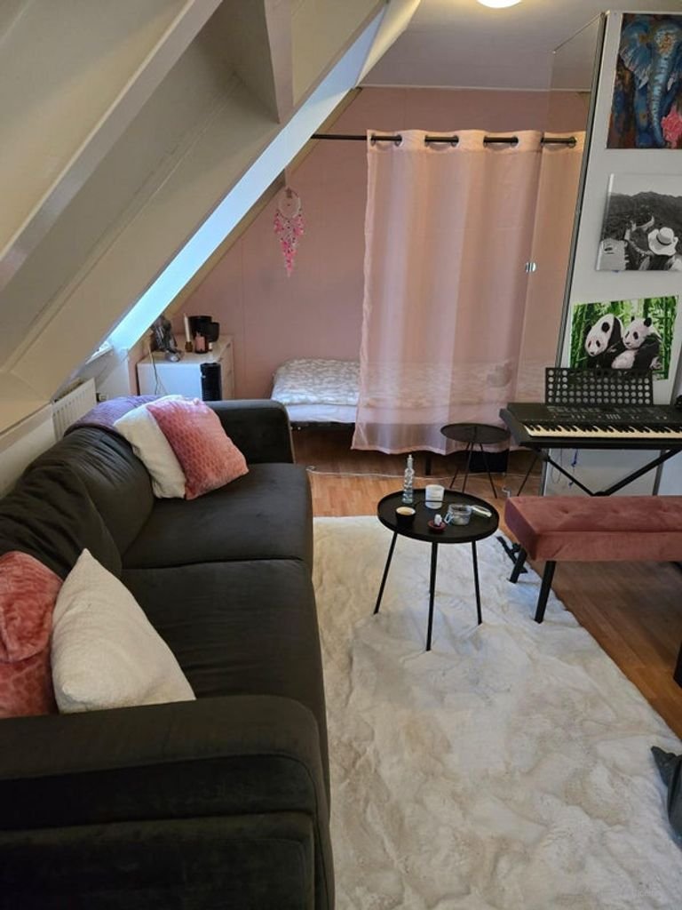 Zuinige eenpersoons studio in Vlijmen - Afbeelding 2