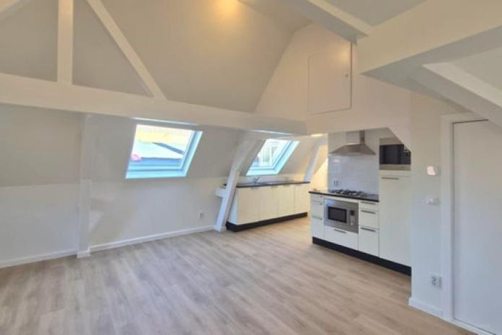 Monumentaal 2-kamer studentenappartement aan het Spui - Afbeelding 1