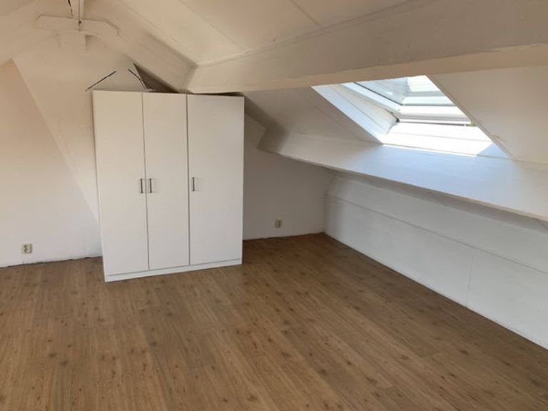 Kamer van 20m2 in dameshuis Maastricht - Afbeelding 3