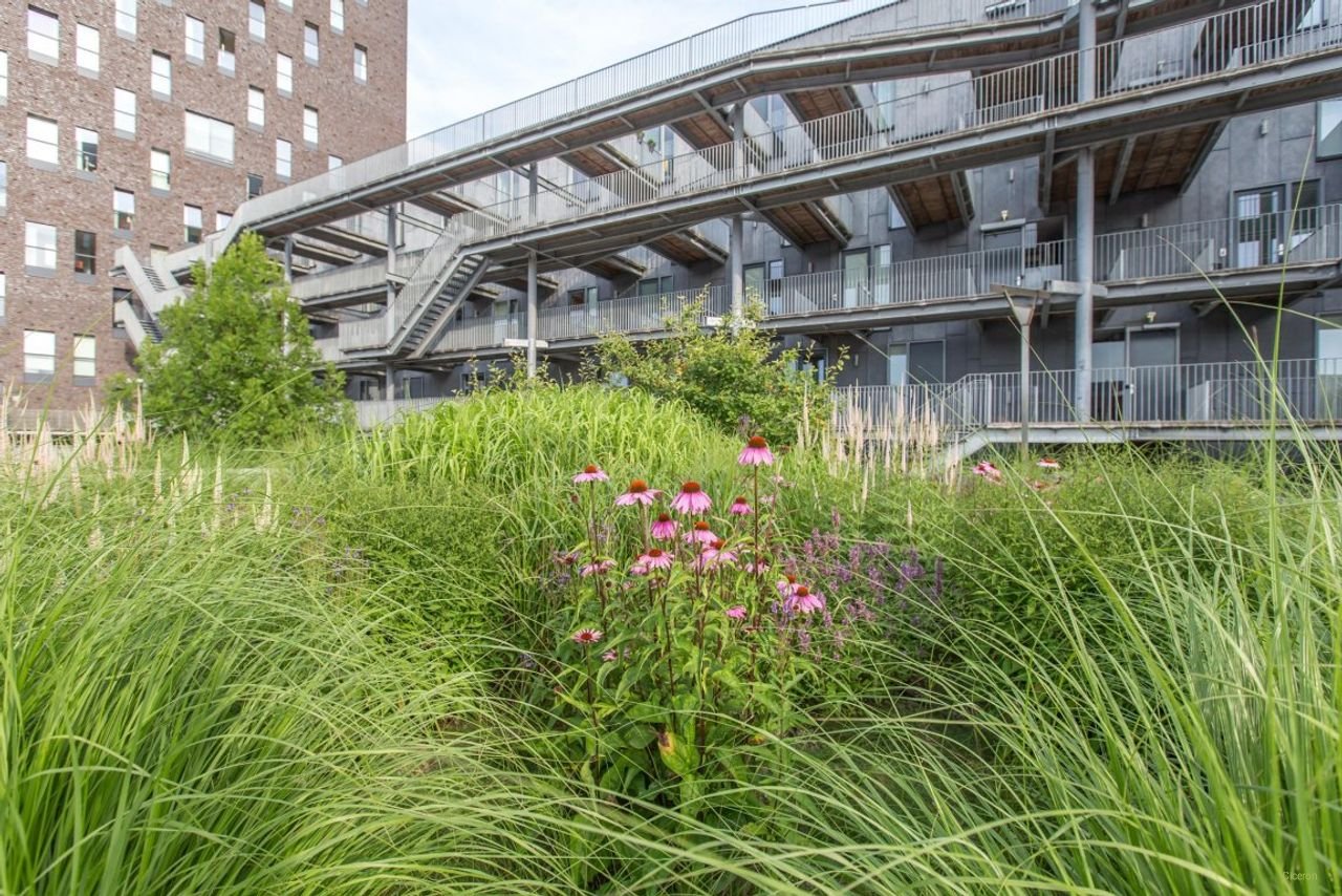 Appartement (105 m²) in de Kop van Oost - Afbeelding 2