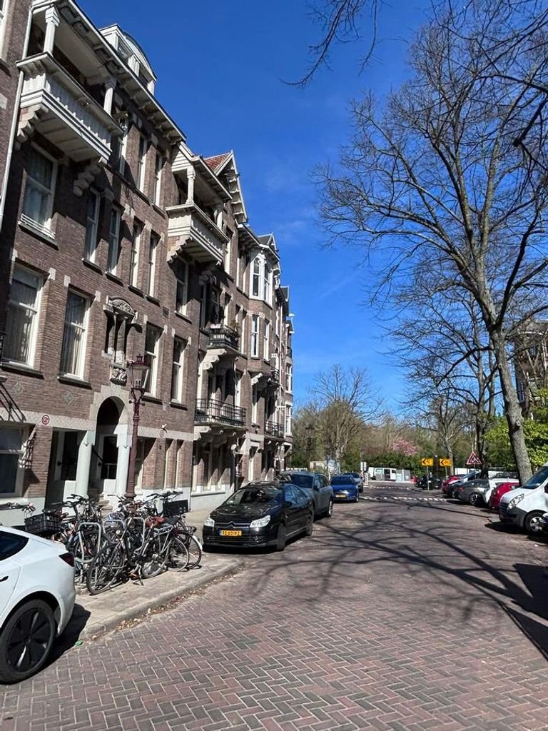 Dakterras aan het Vondelpark in Oud-Zuid - Afbeelding 2