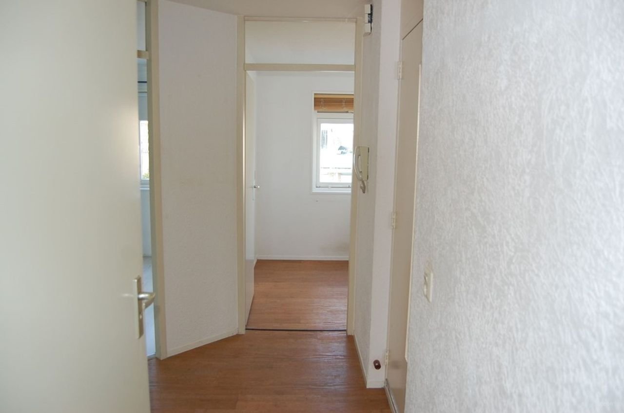 2-bedroom apartment with sunny balcony - Image 12