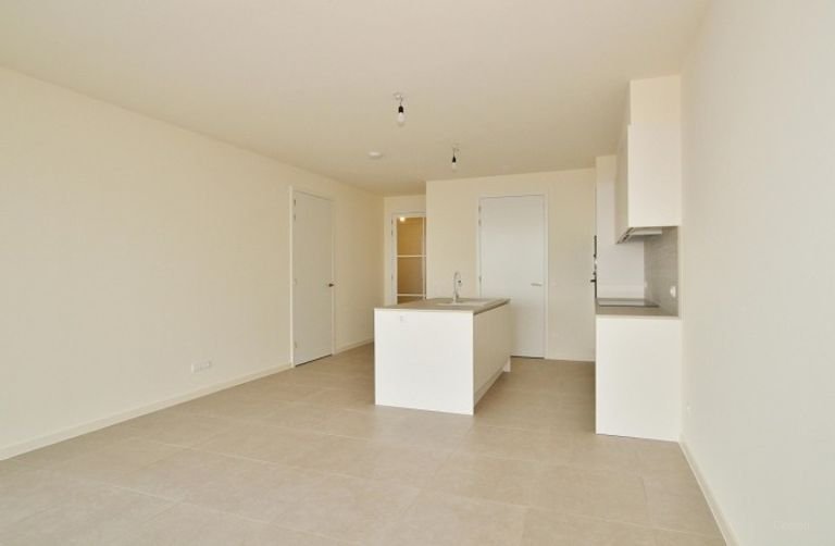 Uitzicht over de Westerschelde - Afbeelding 6