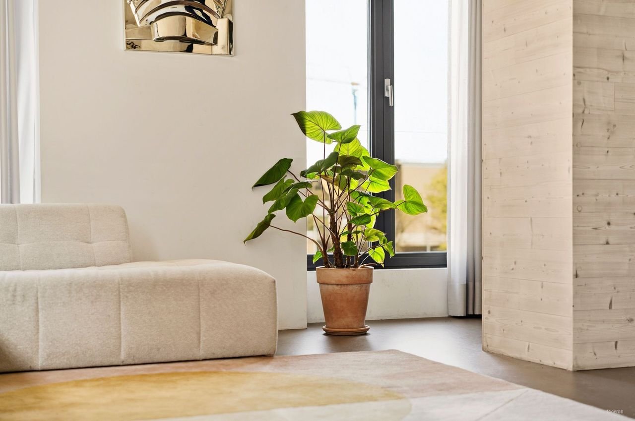 150 m² loft met 4 slaapkamers in Amsterdam-Noord - Afbeelding 8