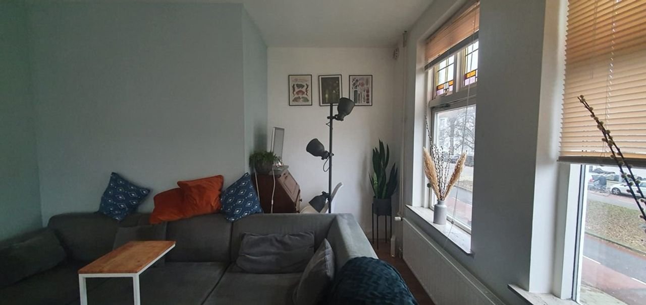 Bright 2-bedroom apartment in Haarlem - Image 12