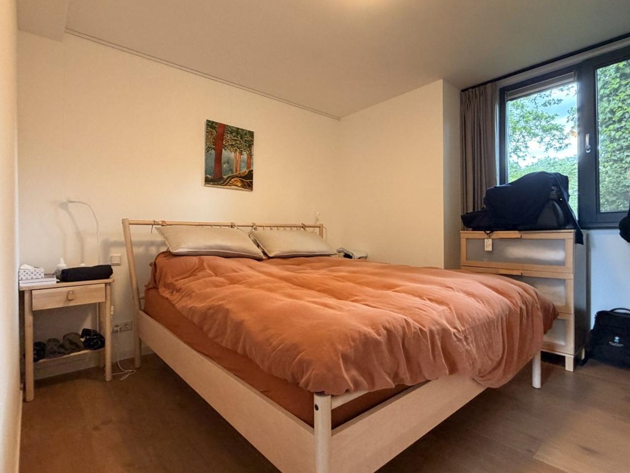Detached Bungalow with 2 Bathrooms - Image 12