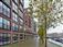 Ruim 3-kamerappartement met balkon op IJburg - Afbeelding 2
