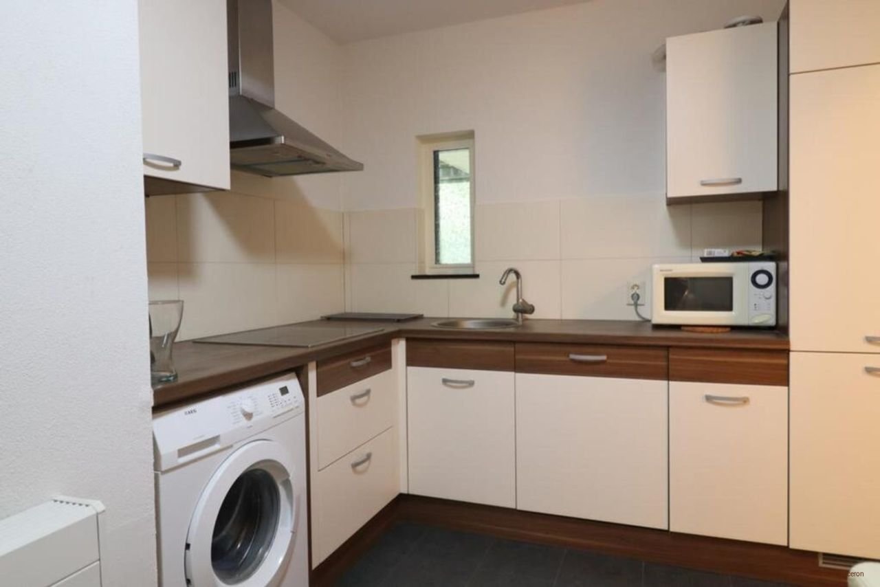 Furnished studio in Rivierenwijk - Image 6