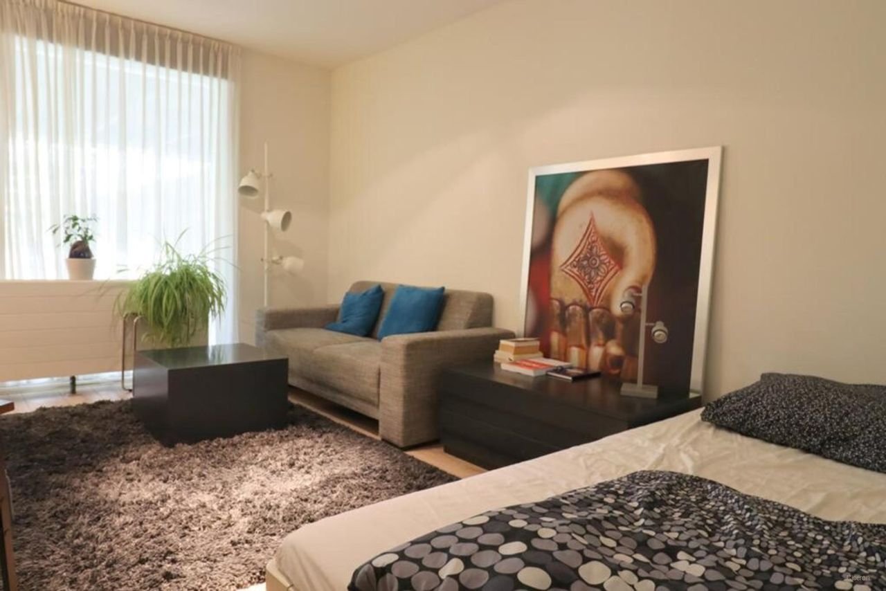 Furnished studio in Rivierenwijk - Image 2