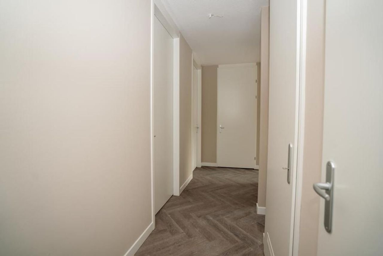 Nieuw 3-kamerappartement met vrij uitzicht - Afbeelding 16